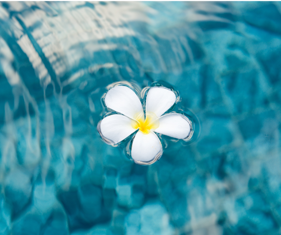 Picture of a flower floating on the water
