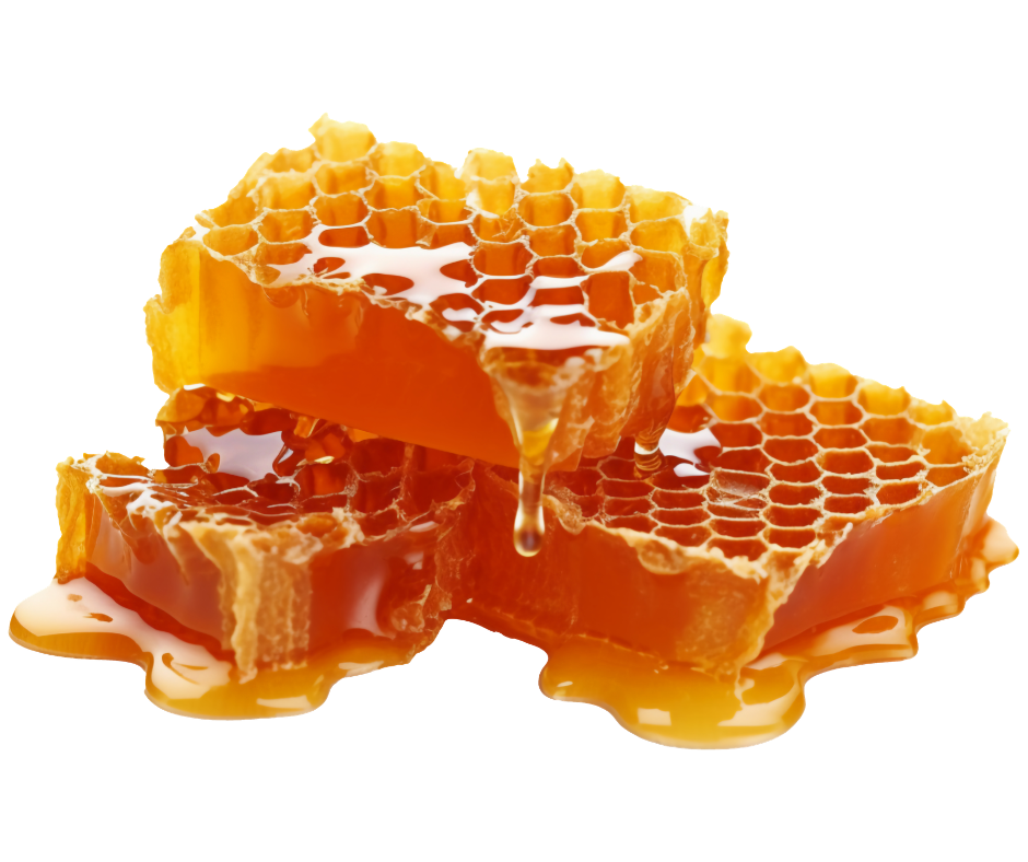 Picture of honeycomb