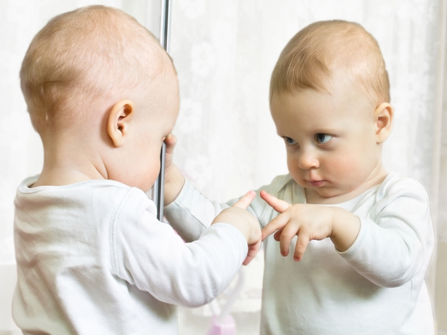 file 101560 0 Baby Mirror